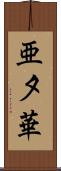 亜夕華 Scroll