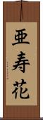 亜寿花 Scroll