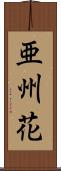 亜州花 Scroll