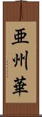 亜州華 Scroll