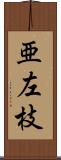 亜左枝 Scroll