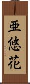 亜悠花 Scroll