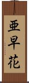 亜早花 Scroll