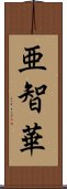 亜智華 Scroll