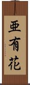 亜有花 Scroll