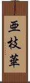 亜枝華 Scroll