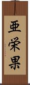 亜栄果 Scroll