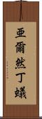 亜爾然丁蟻 Scroll