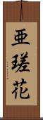 亜瑳花 Scroll