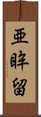 亜眸留 Scroll