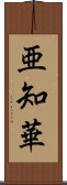 亜知華 Scroll