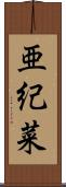 亜紀菜 Scroll