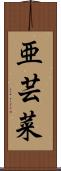 亜芸菜 Scroll