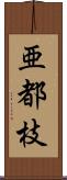 亜都枝 Scroll