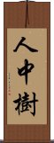 人中樹 Scroll