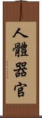 人體器官 Scroll
