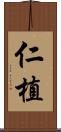 仁植 Scroll