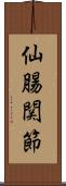 仙腸関節 Scroll