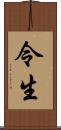 令生 Scroll