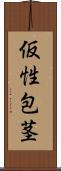 仮性包茎 Scroll