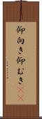 仰向き Scroll