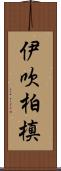 伊吹柏槙 Scroll