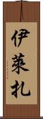 Elyza Scroll