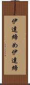 伊達締め Scroll