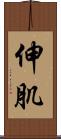 伸肌 Scroll