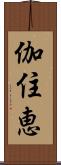 伽住恵 Scroll