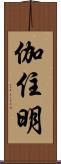伽住明 Scroll