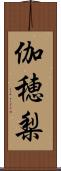 伽穂梨 Scroll