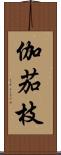 伽茄枝 Scroll