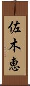 佐木恵 Scroll