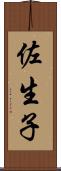 佐生子 Scroll