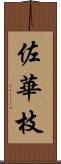 佐華枝 Scroll