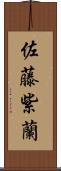 佐藤紫蘭 Scroll