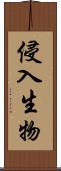侵入生物 Scroll