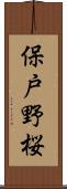 保戸野桜 Scroll