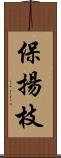 保揚枝 Scroll