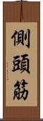側頭筋 Scroll