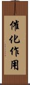 催化作用 Scroll