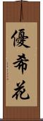 優希花 Scroll