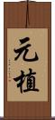 元植 Scroll