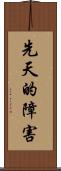 先天的障害 Scroll