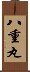 八重丸 Scroll