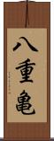 八重亀 Scroll
