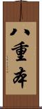 八重本 Scroll