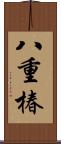 八重椿 Scroll