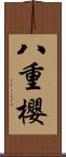 八重櫻 Scroll